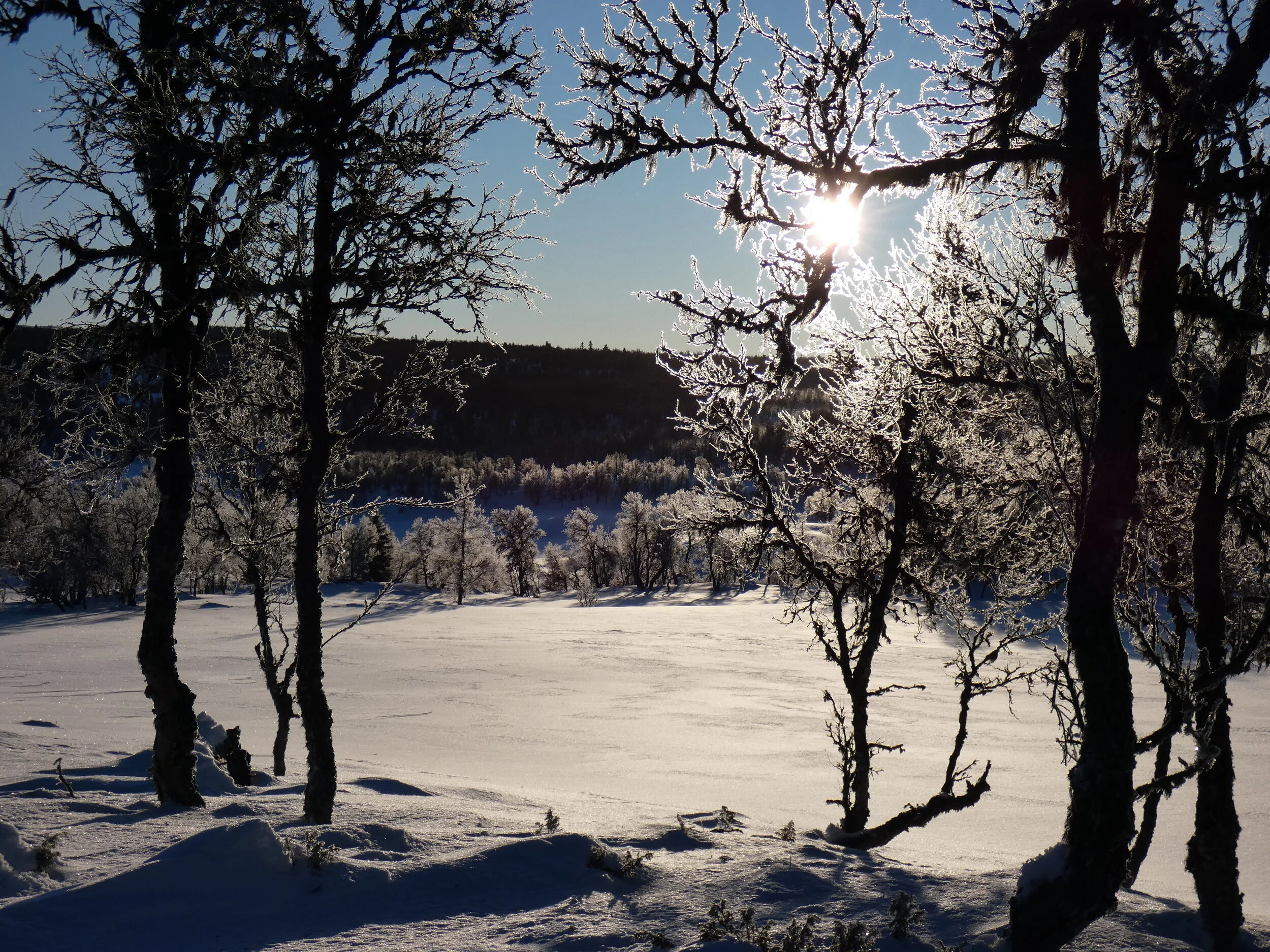 Fjellstyremøte 22. april