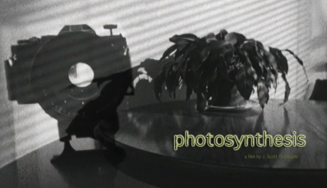 STOP-MOTION