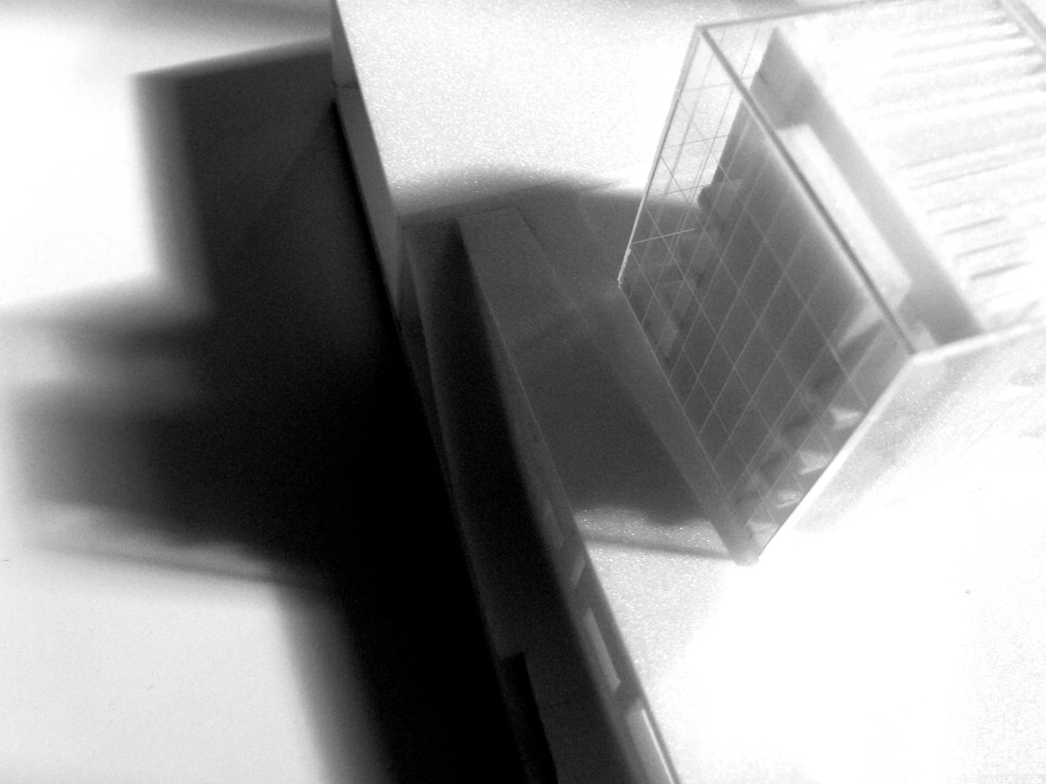 P1060959.JPG
