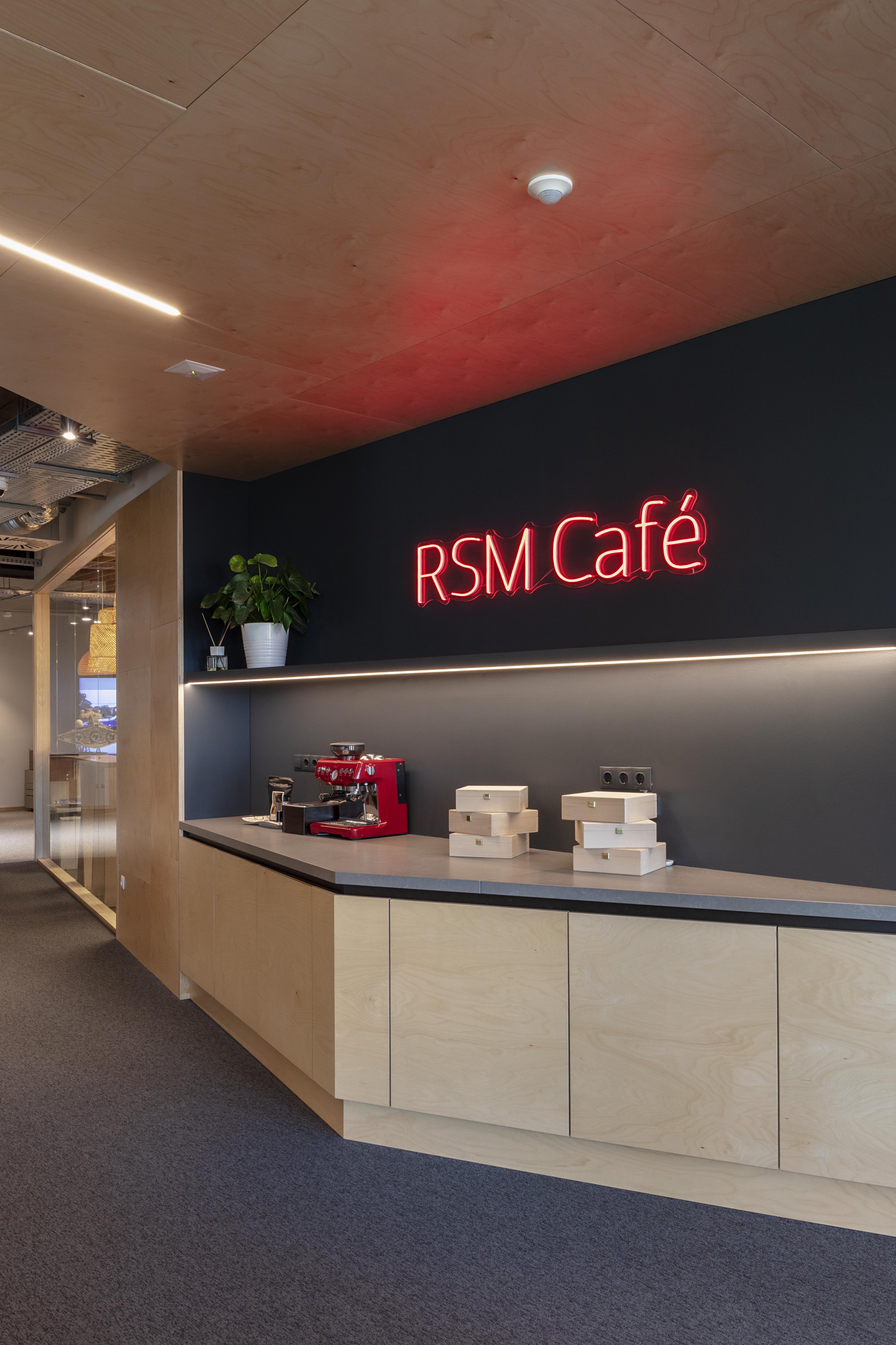 rsm_11.jpg