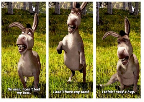Donkey1.jpg