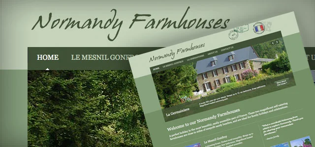 WordPress Website & Online Tools