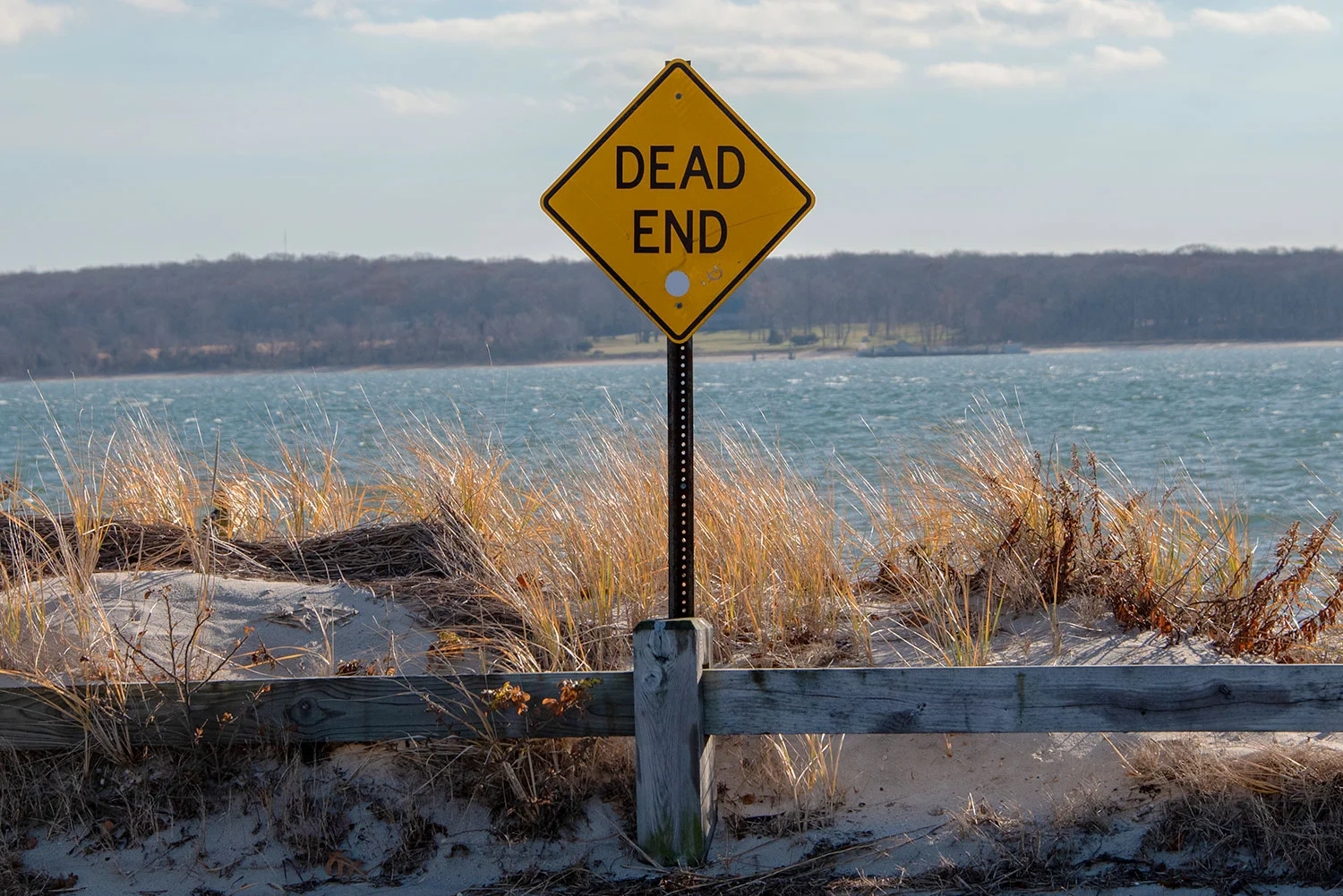 How to move your old website to a new Squarespace site safely