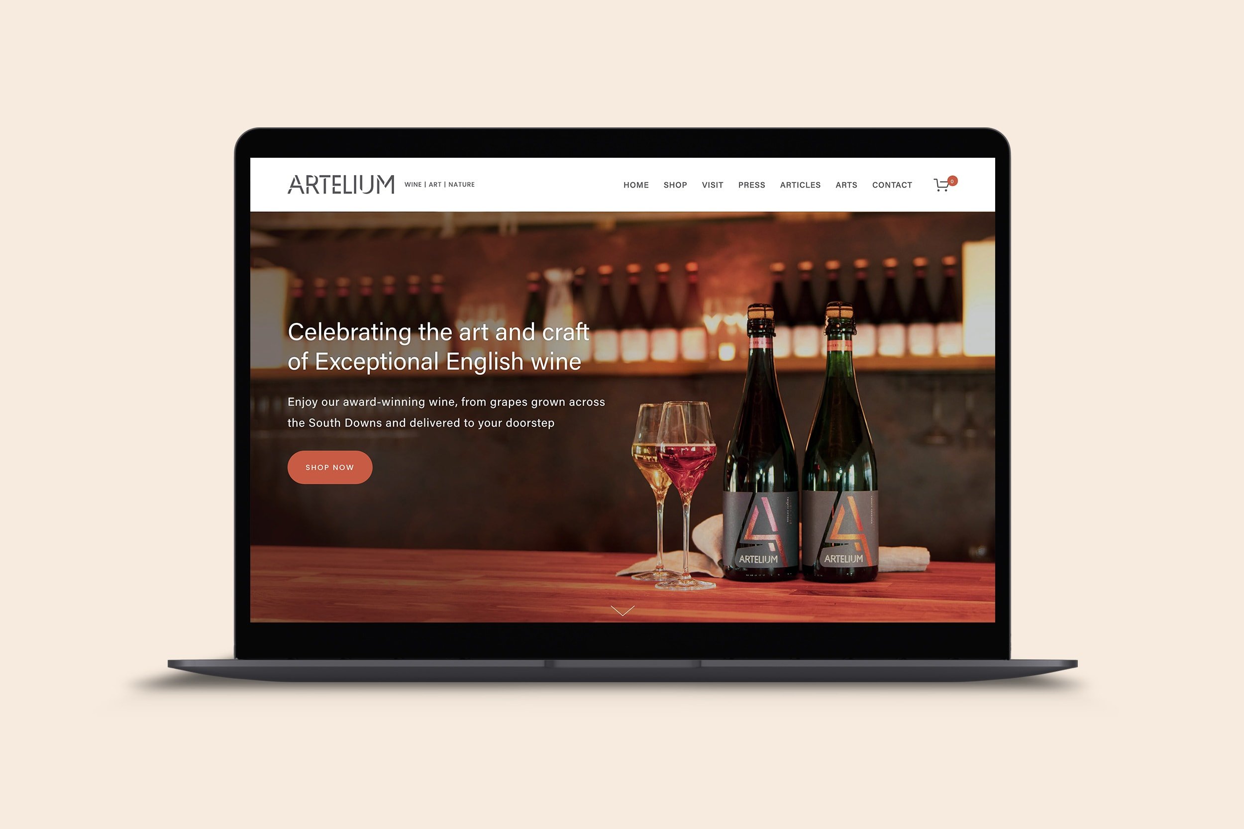 squarespace-web-design-artelium-using-my-head.jpg