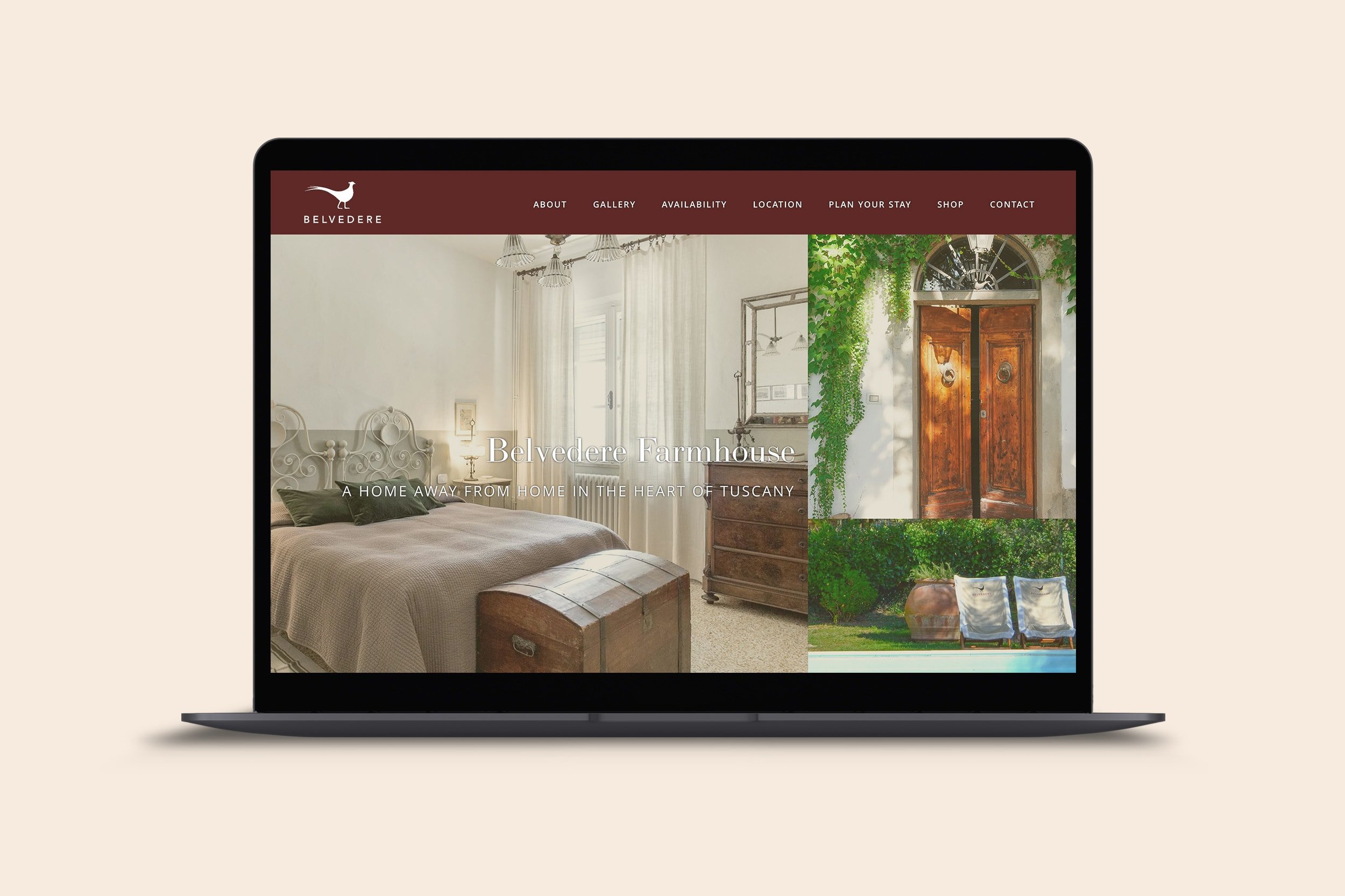 squarespace-web-design-belvedere-farmhouse-using-my-head.jpg