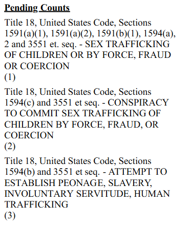 Claimed Copy of Counts Against Defendent