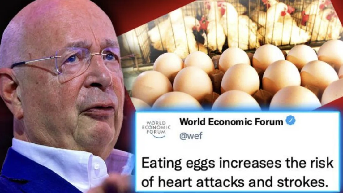 WEF Vows to BAN ‘Dangerous’ Eggs After Study Finds They Cure COVID Naturally