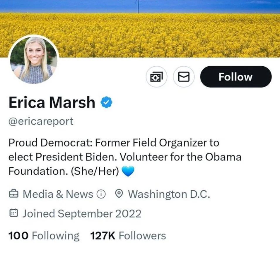 Democratic Party Political Bot Erica Marsh Suspended from Twitter