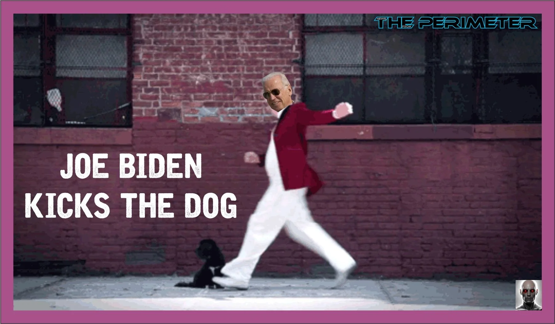 Joe Biden Kicks The Dog and The American People