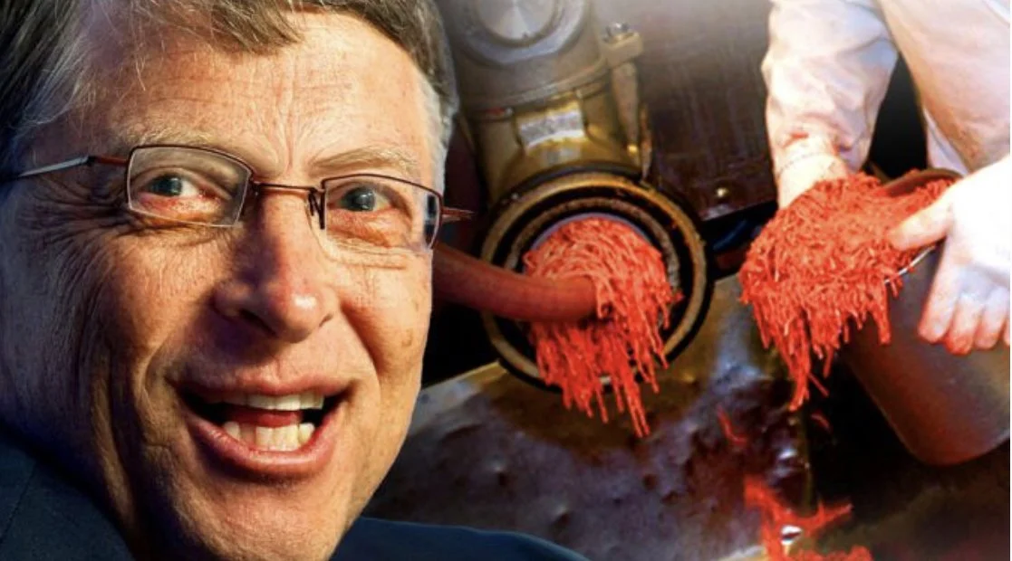 Gates Foundation Linked to Depopulation Drugs Pumped into Fast Food Meals