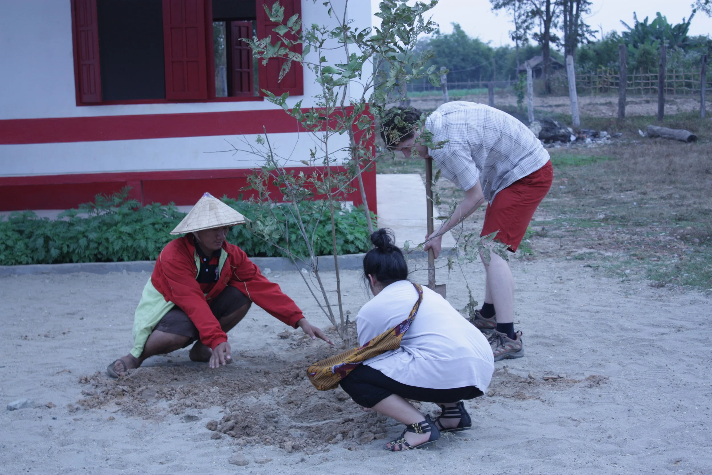 tree-planting4_5365646238_o.jpg