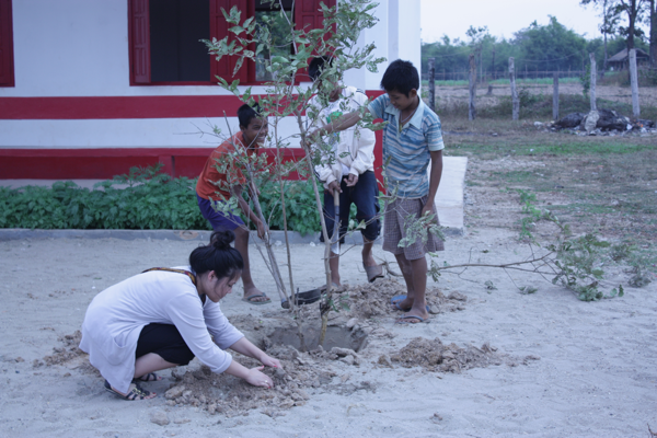 tree_600_5264328492_o.png