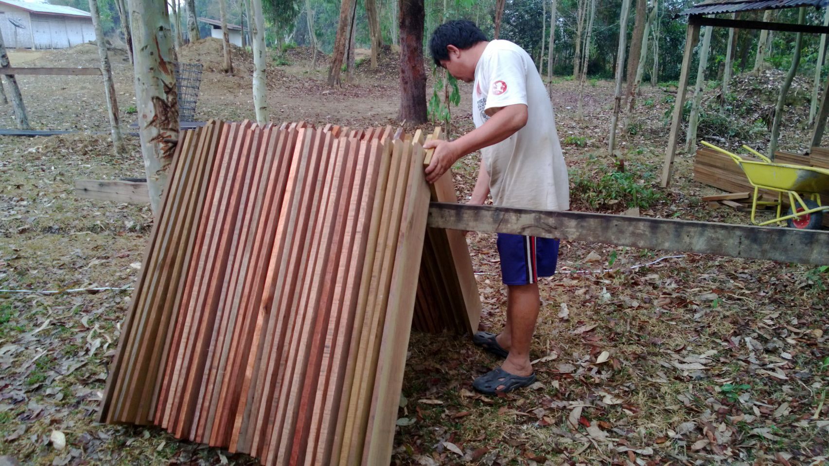 Drying_process.jpg
