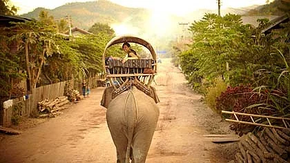 Laos-Elephant-Trek-420x0.jpg