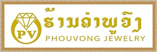 pv_logo.jpg