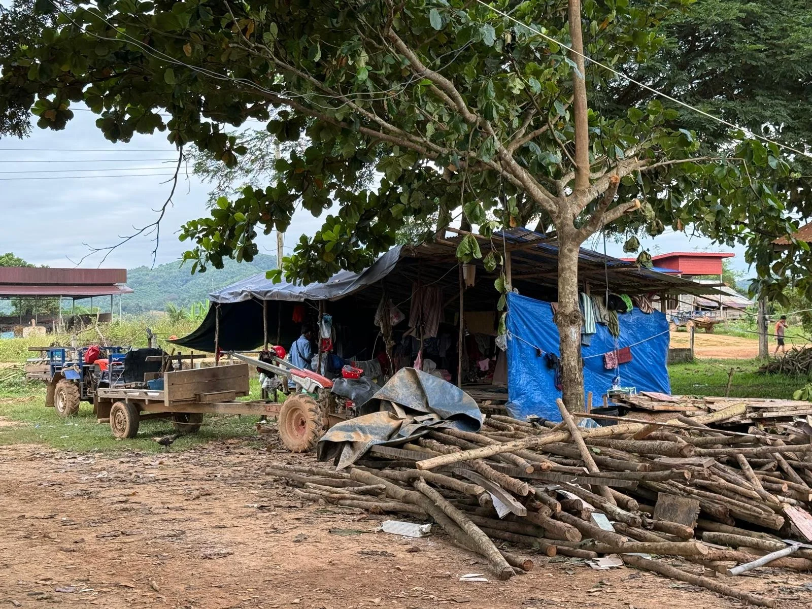 WhatsApp Image 2025-11-01 at 23.37.06.jpeg