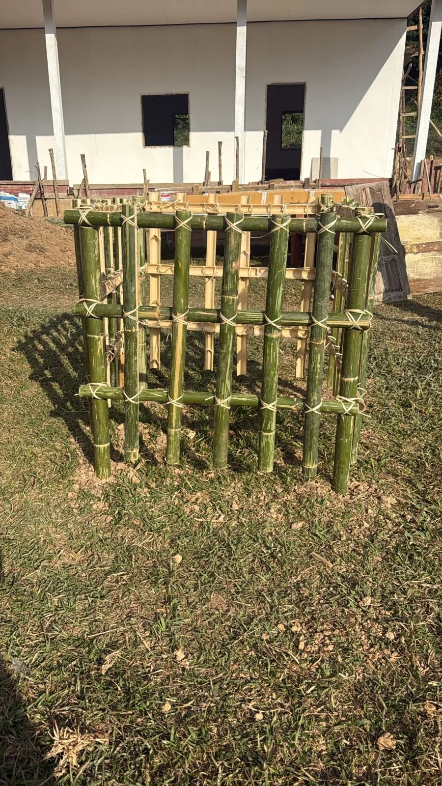 Tree planting 10.jpeg