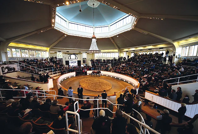 tattersalls-newmarket.jpg