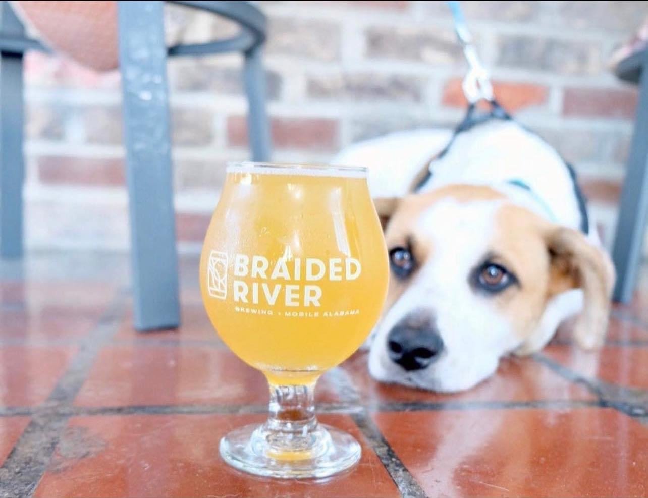 TONIGHT: YAPPY HOUR! 

Bring your furry friends down to Braided River for downtown&rsquo;s Tuesday night pet-friendly social! 

Ellle has made treats for the dogs and we have Happy Hour for the Humans ($1 off) all night!