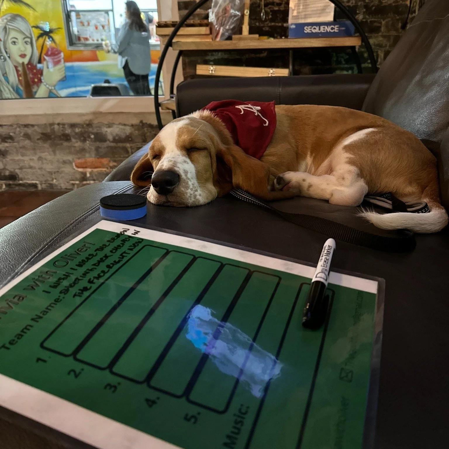 Got friends, family and pups in town? Bring them to FREE TEAM @triviawitholiver in the taproom tonight, which starts at 7 p.m.! We'll even call you by your first name so you seem cool 😎