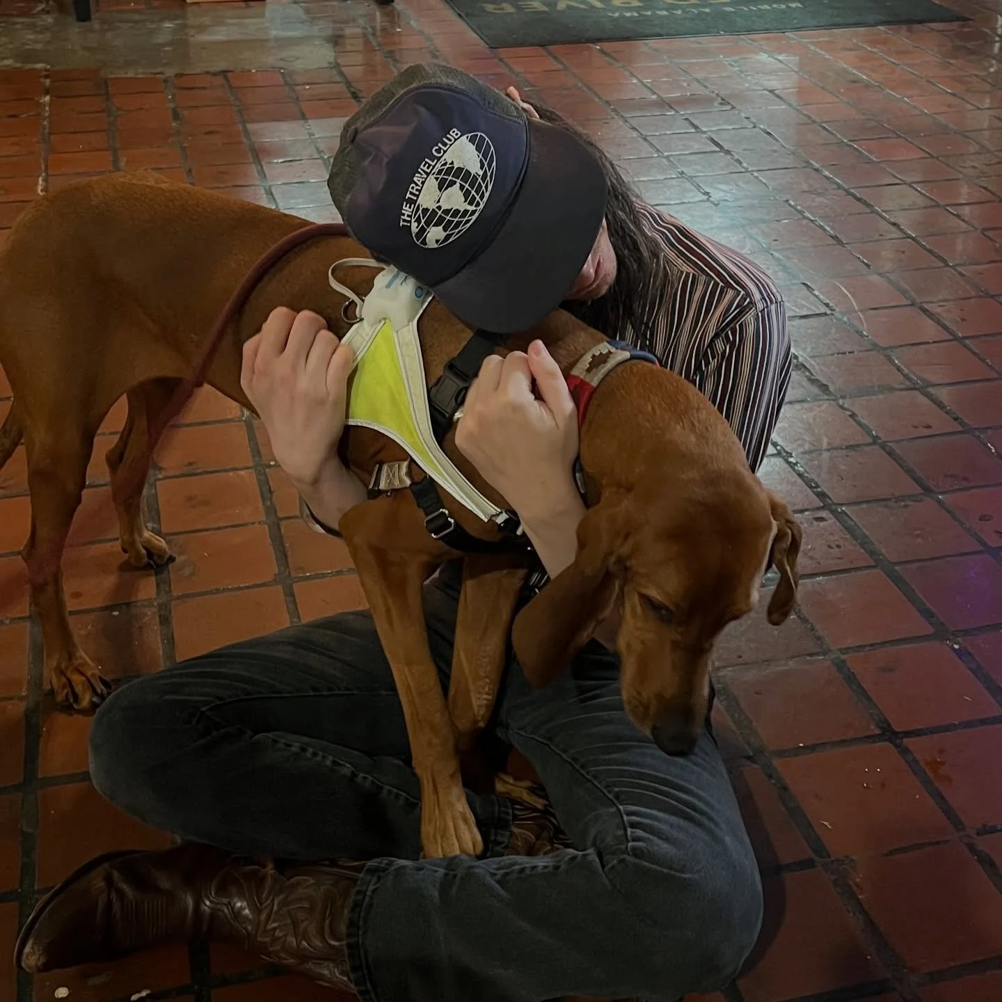 Please bring in your pups to see us 🥹 We&rsquo;ll have the heater cranked and the dog treats and beers waiting&rsquo; on ya