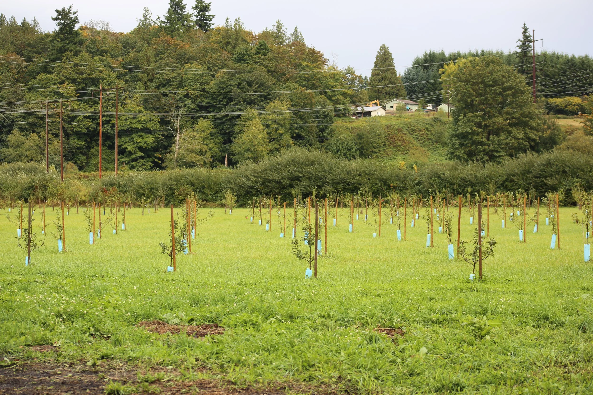 Farm to Farmer Network to serve entire state of Washington 