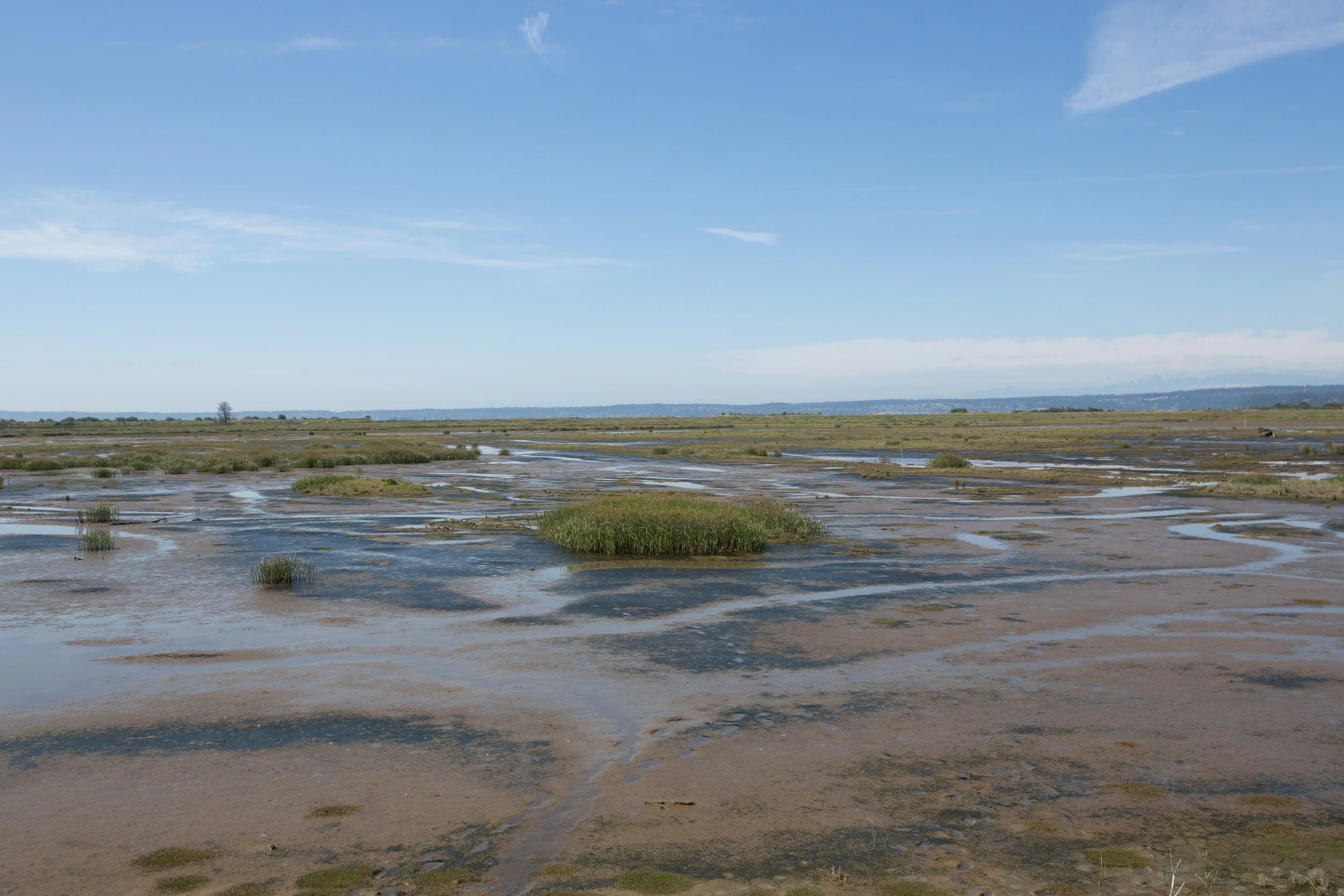 Leque Island Site Visit
