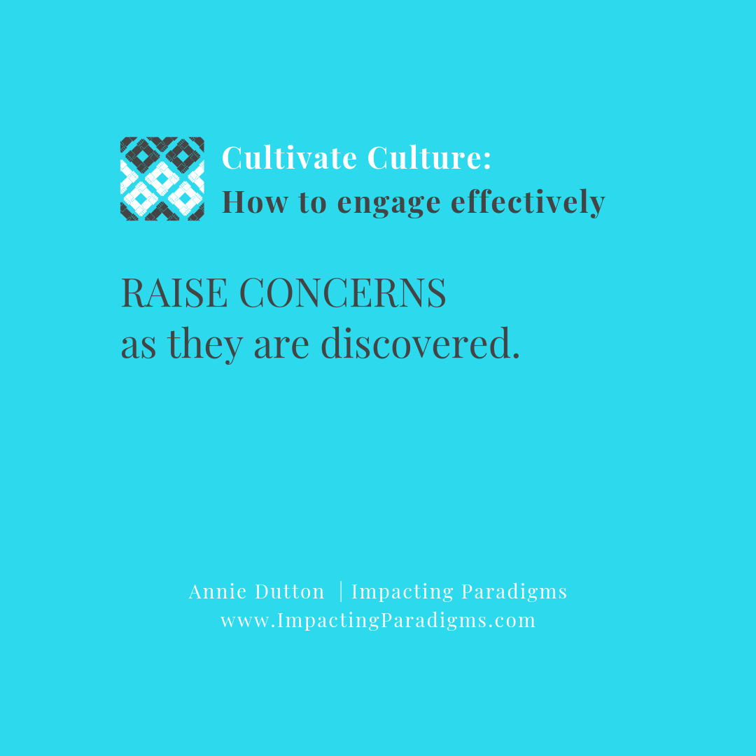 28 Raise concerns.png
