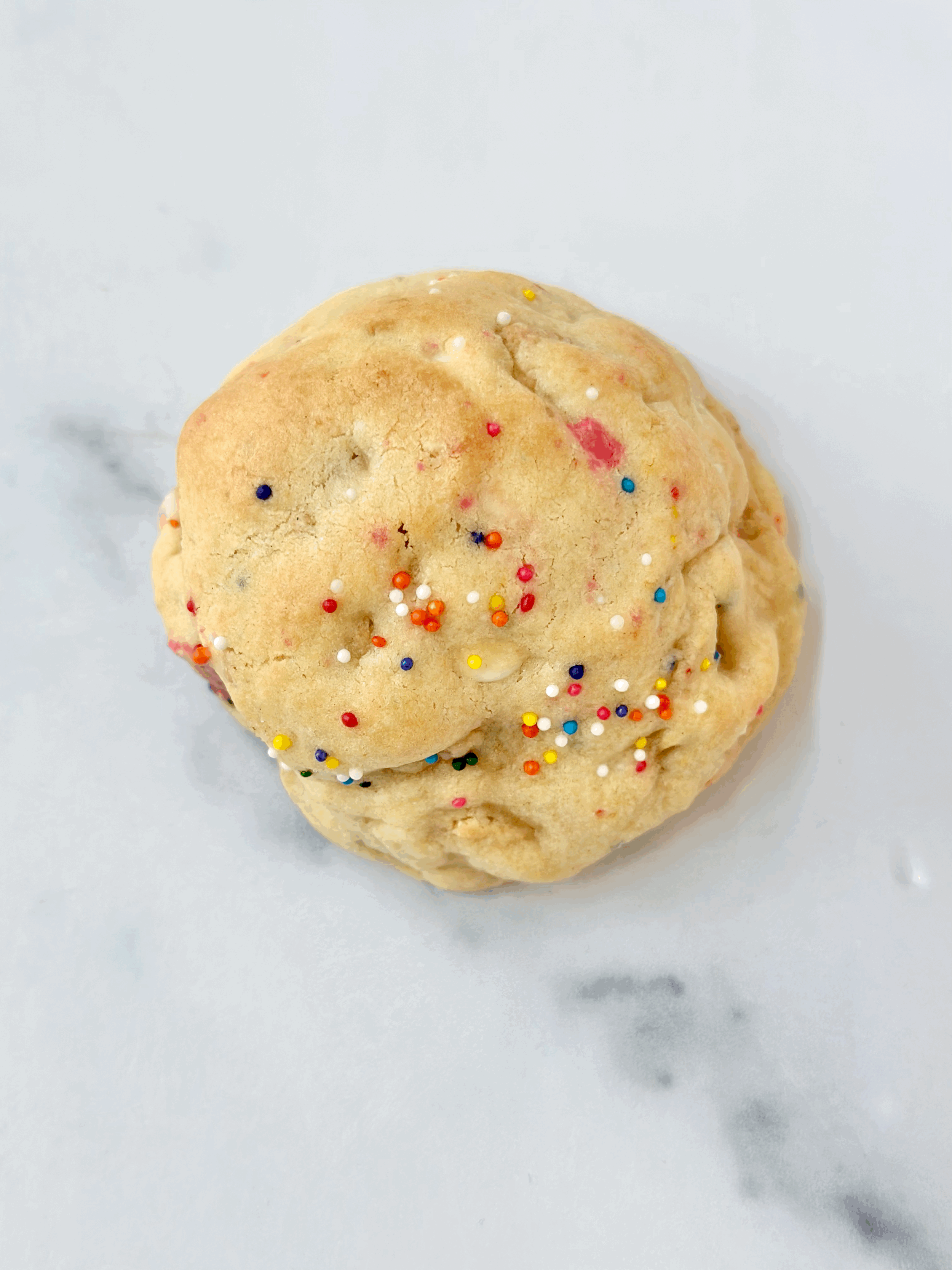 Jumbo Circus Animal Cookie Recipe