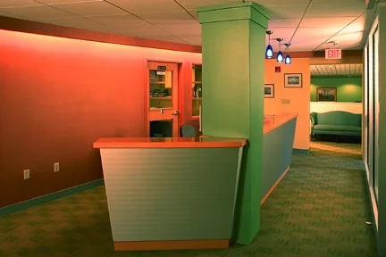  In order to create a sense of well being, vibrant colors and shapes were used. 