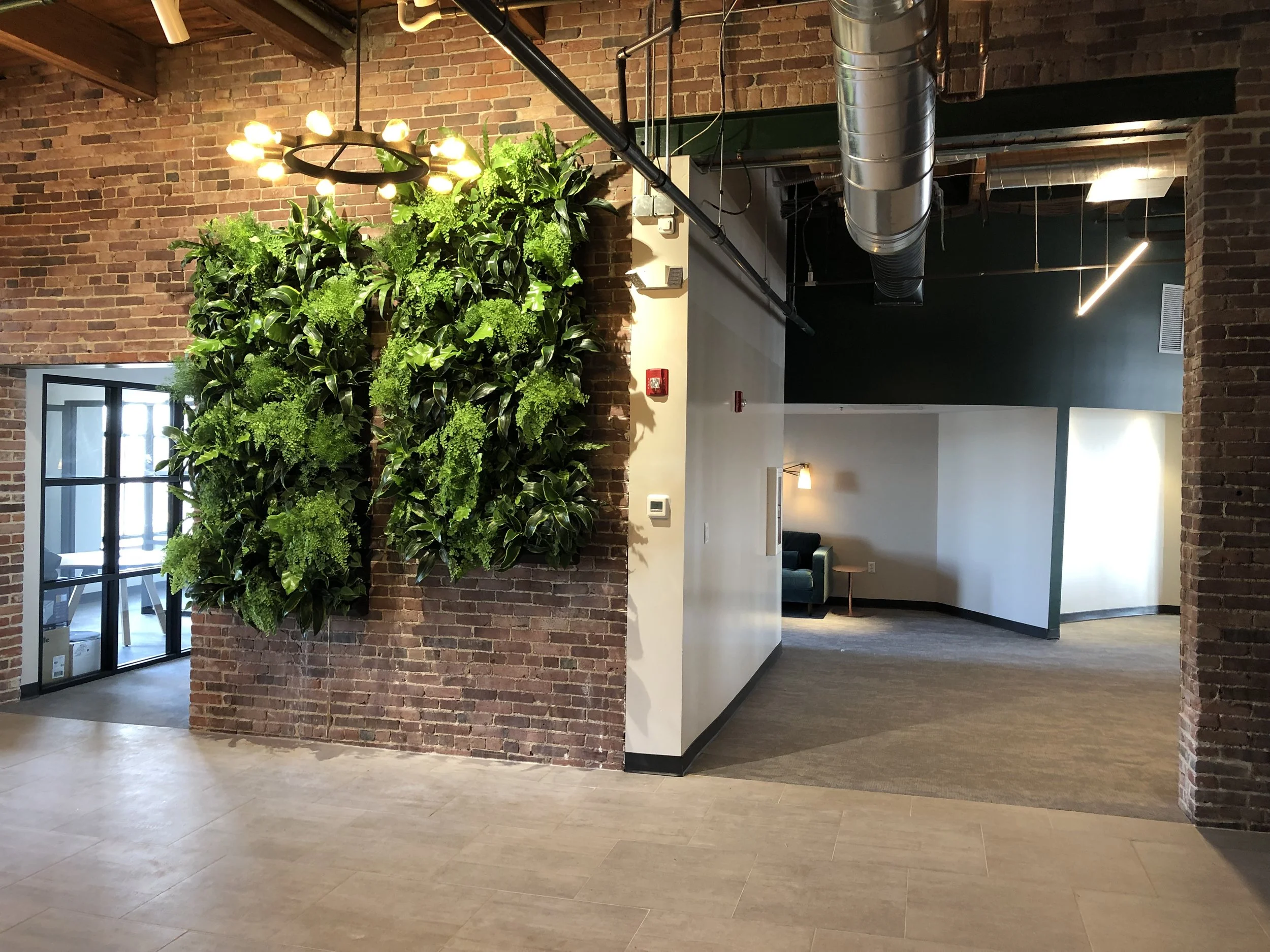 A living plant wall welcomes you into the office area