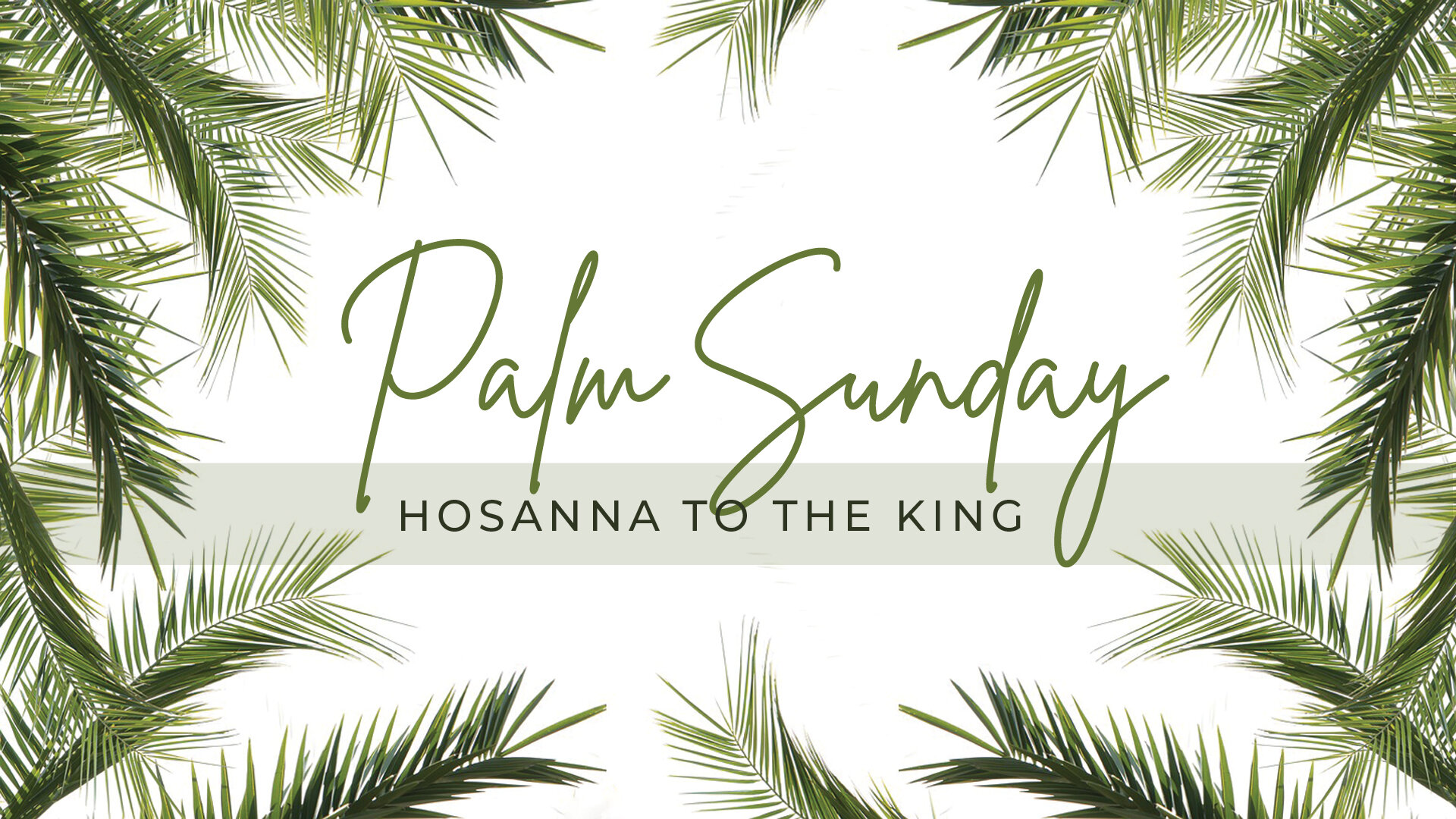 Palm Sunday