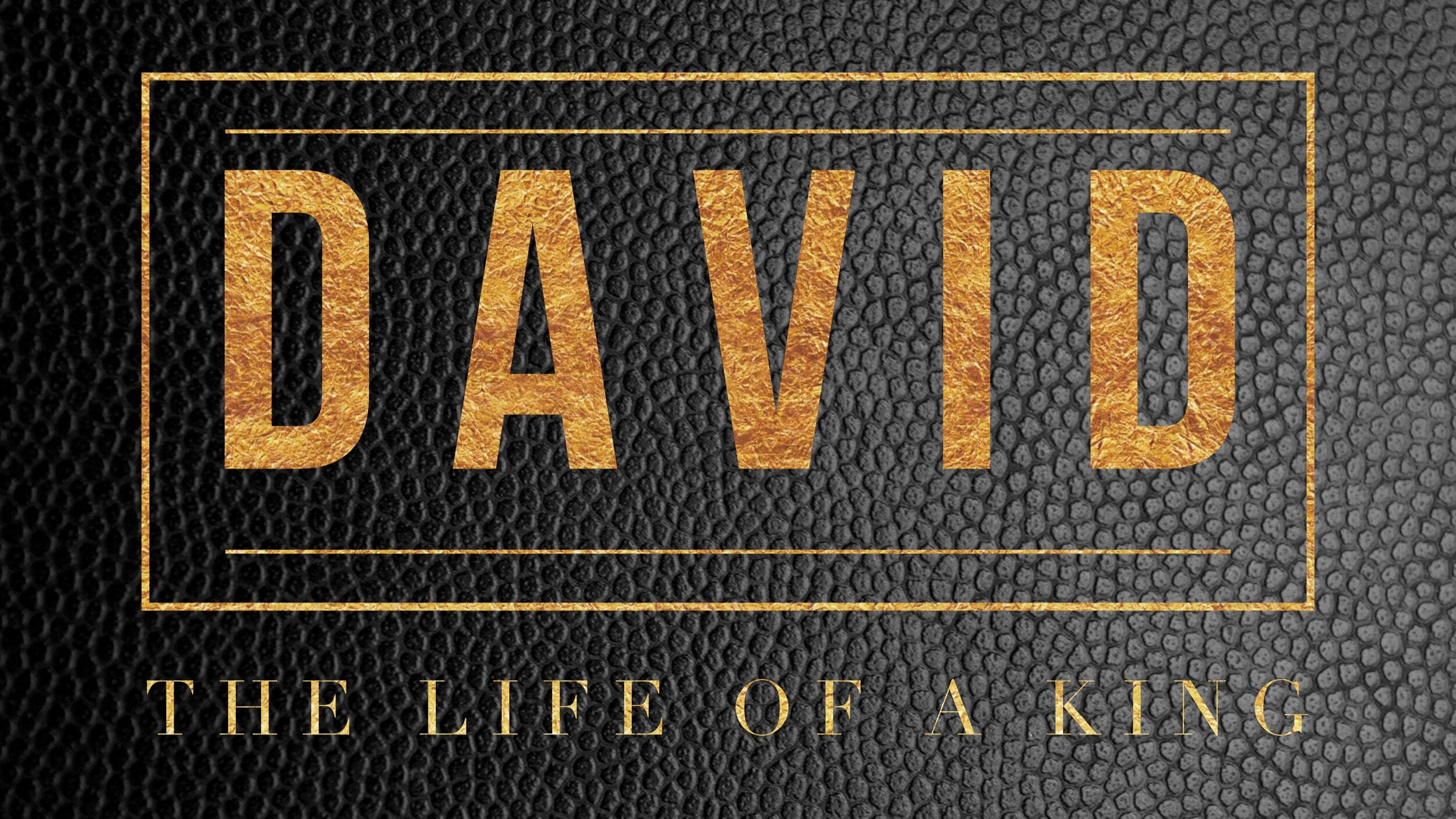 David Header.JPG