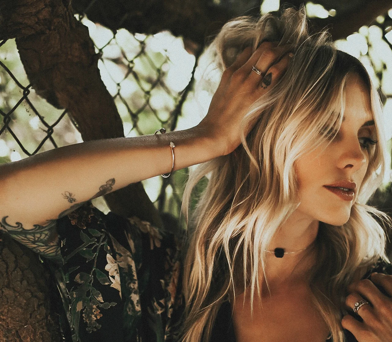 LindsBanner.jpg