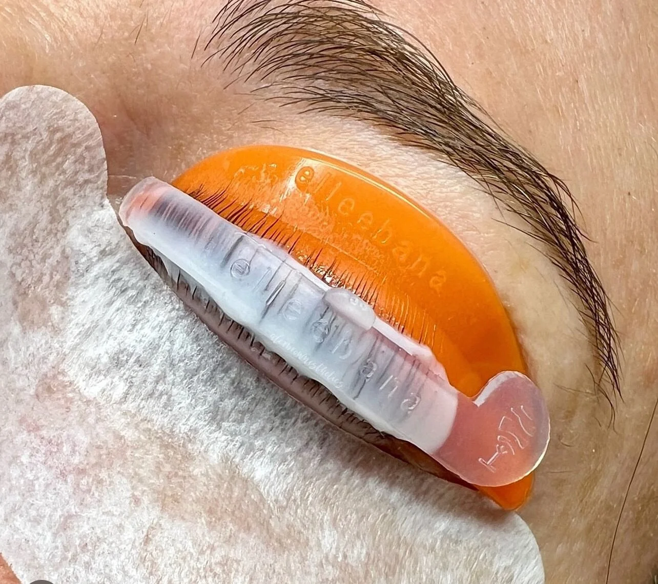 Elleebana™ Lash Lift Kit