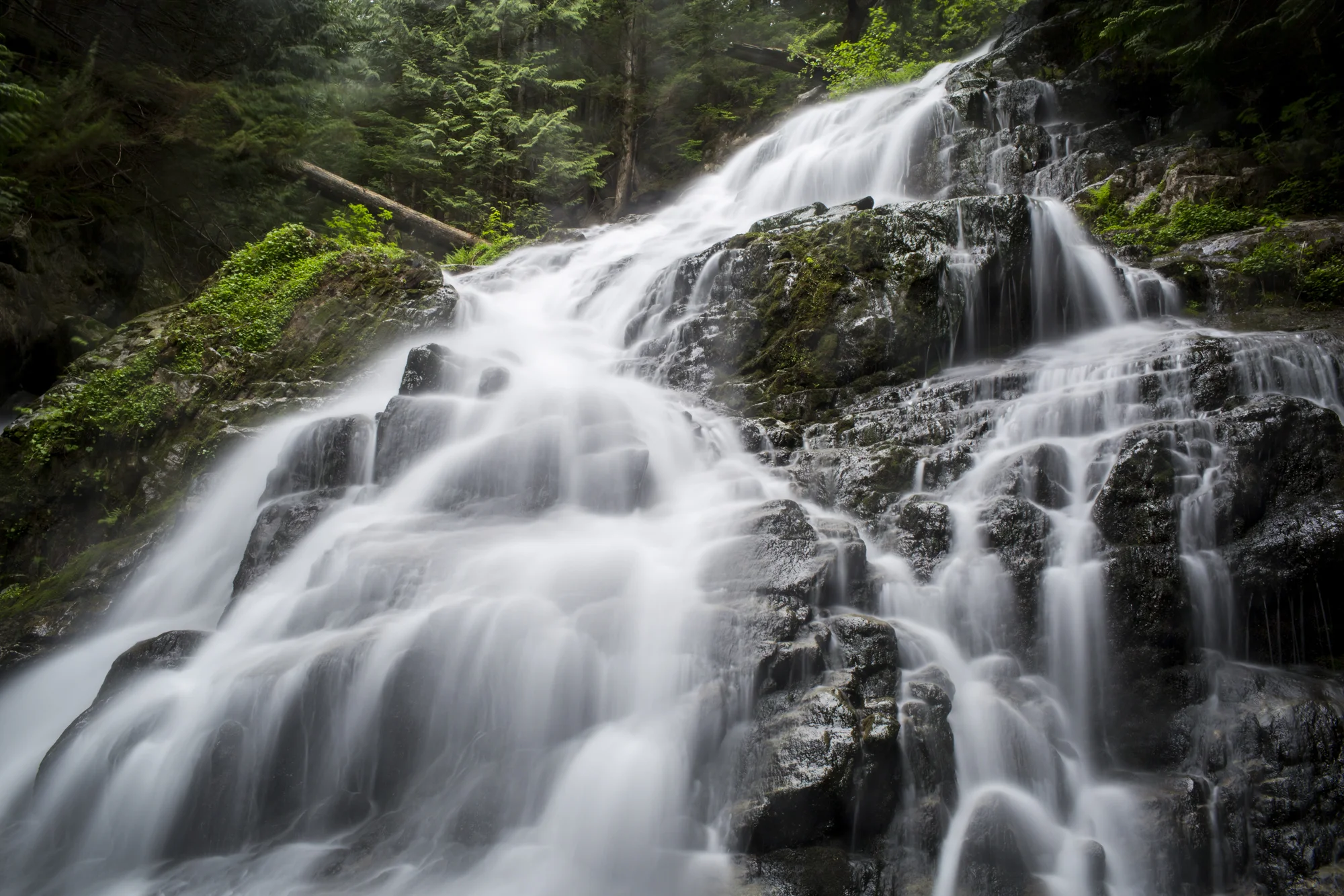 Chiropractic services in Revelstoke BC