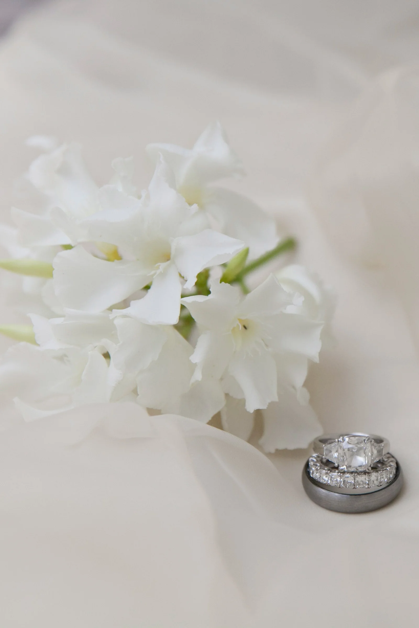 Naspa-Wedding-Photography-Rings.jpg
