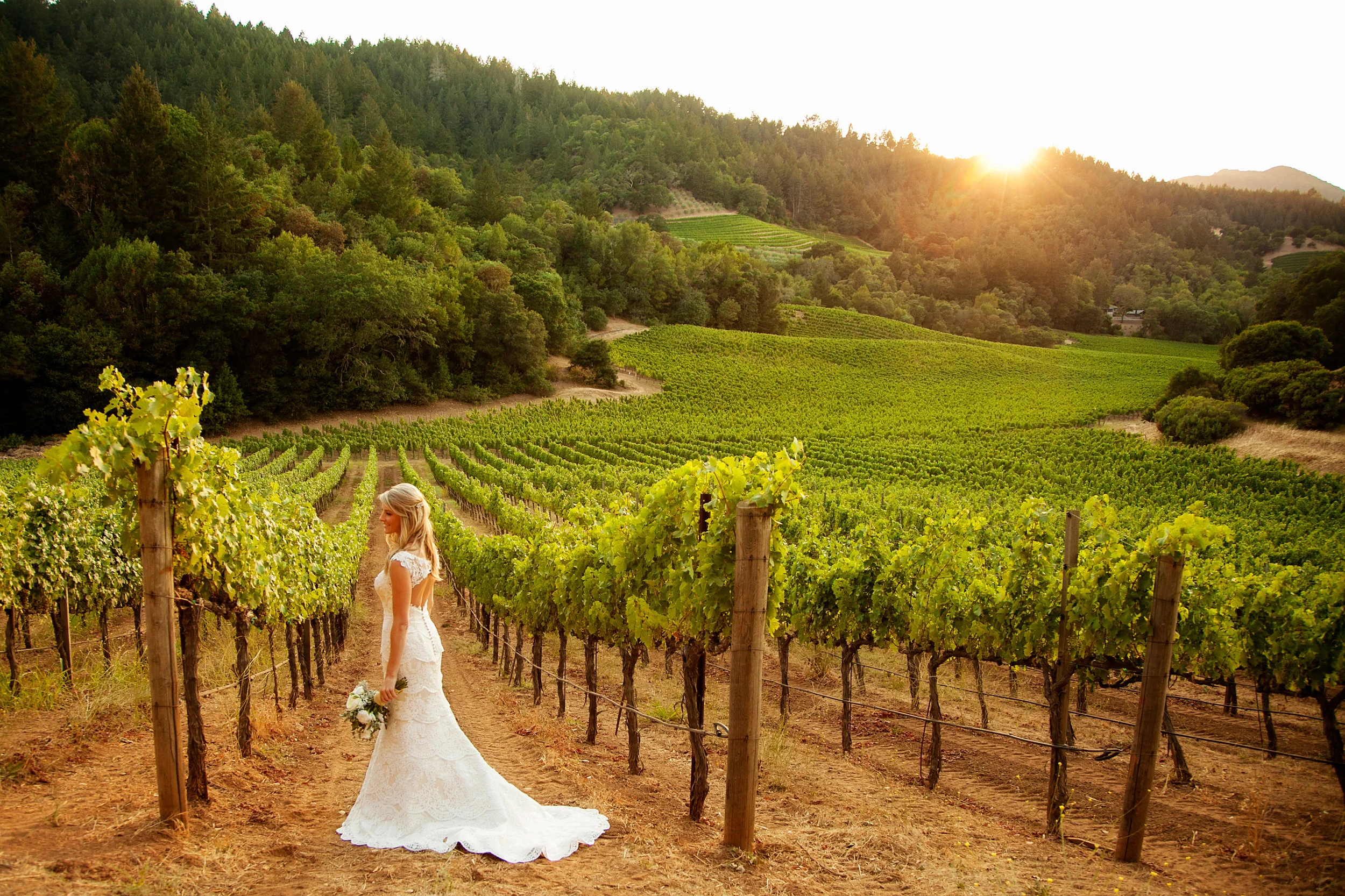 Best Napa Valley Wedding Venues.jpg