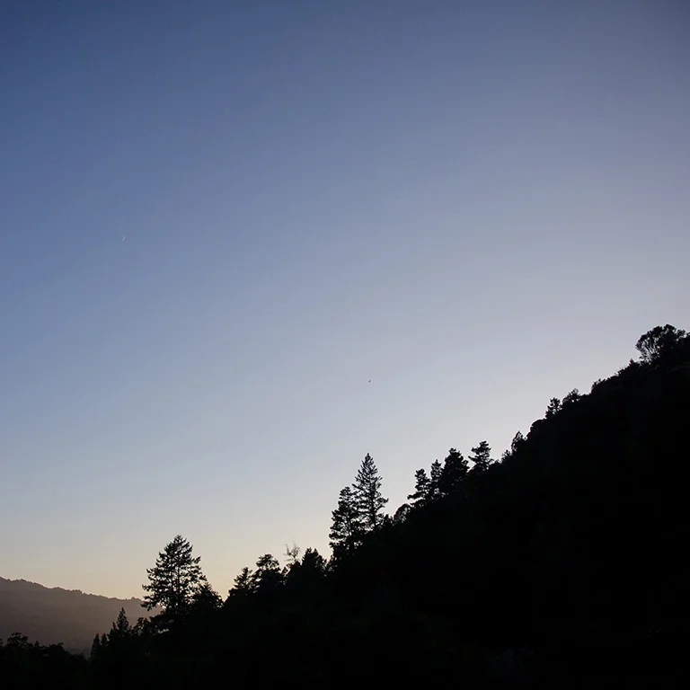 Nature Love | Calistoga Ranch Wedding Photographer, Calistoga