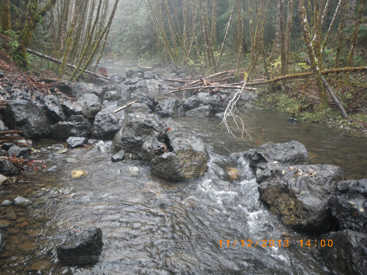 Rock Creek Restoration