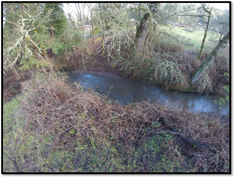 Rice Creek Restoration