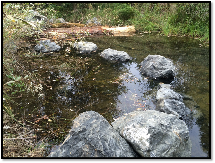 Temile Creek Restoration