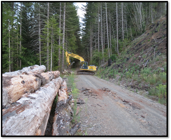 Harrington Creek Restoration
