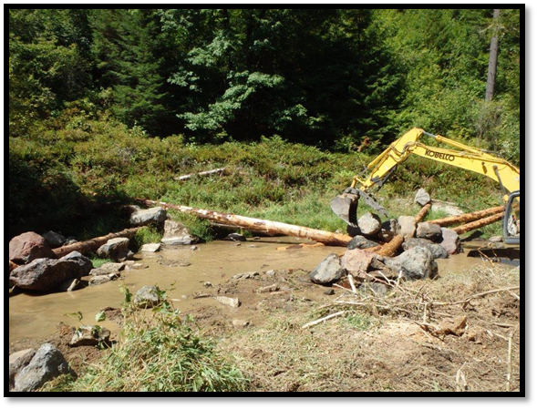 Camp Creek Restoration