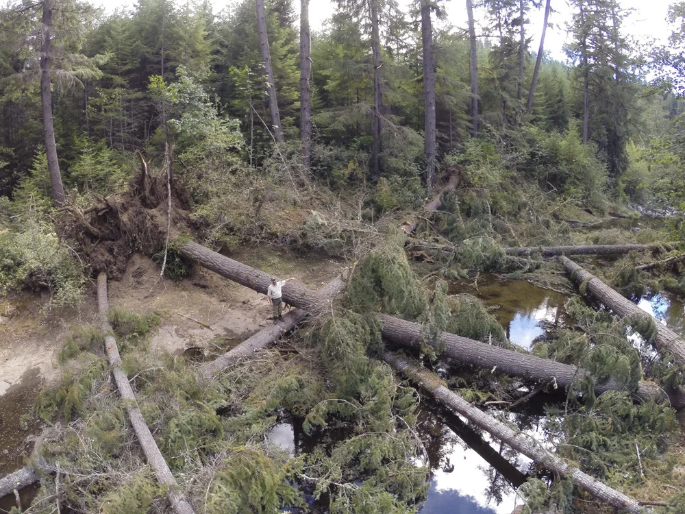 West Fork Smith River Restoration