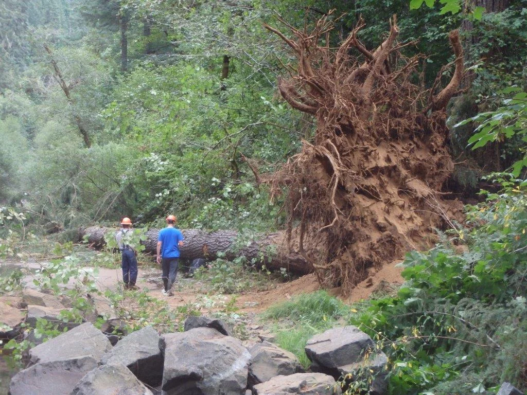 West Fork Smith River Restoration