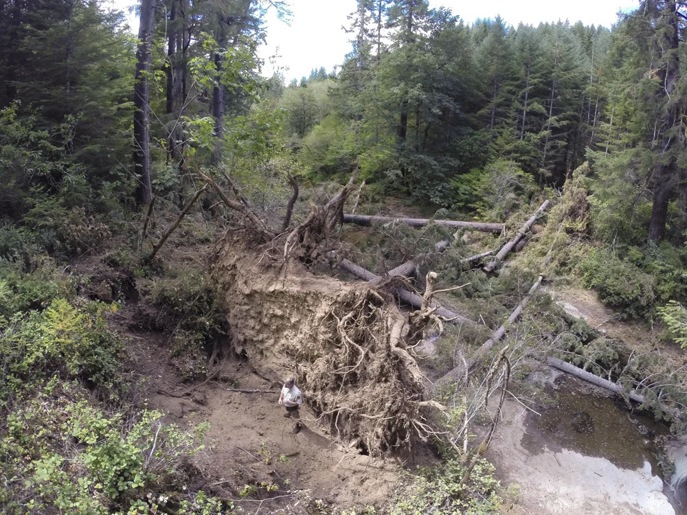 West Fork Smith River Restoration