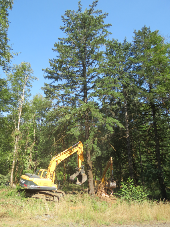 Brush Creek Restoration