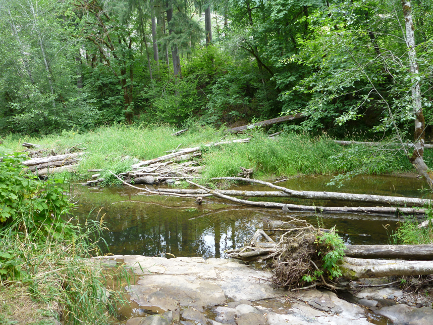 Brush Creek Restoration