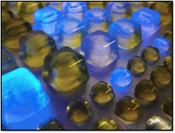 Ecoli Picture.png